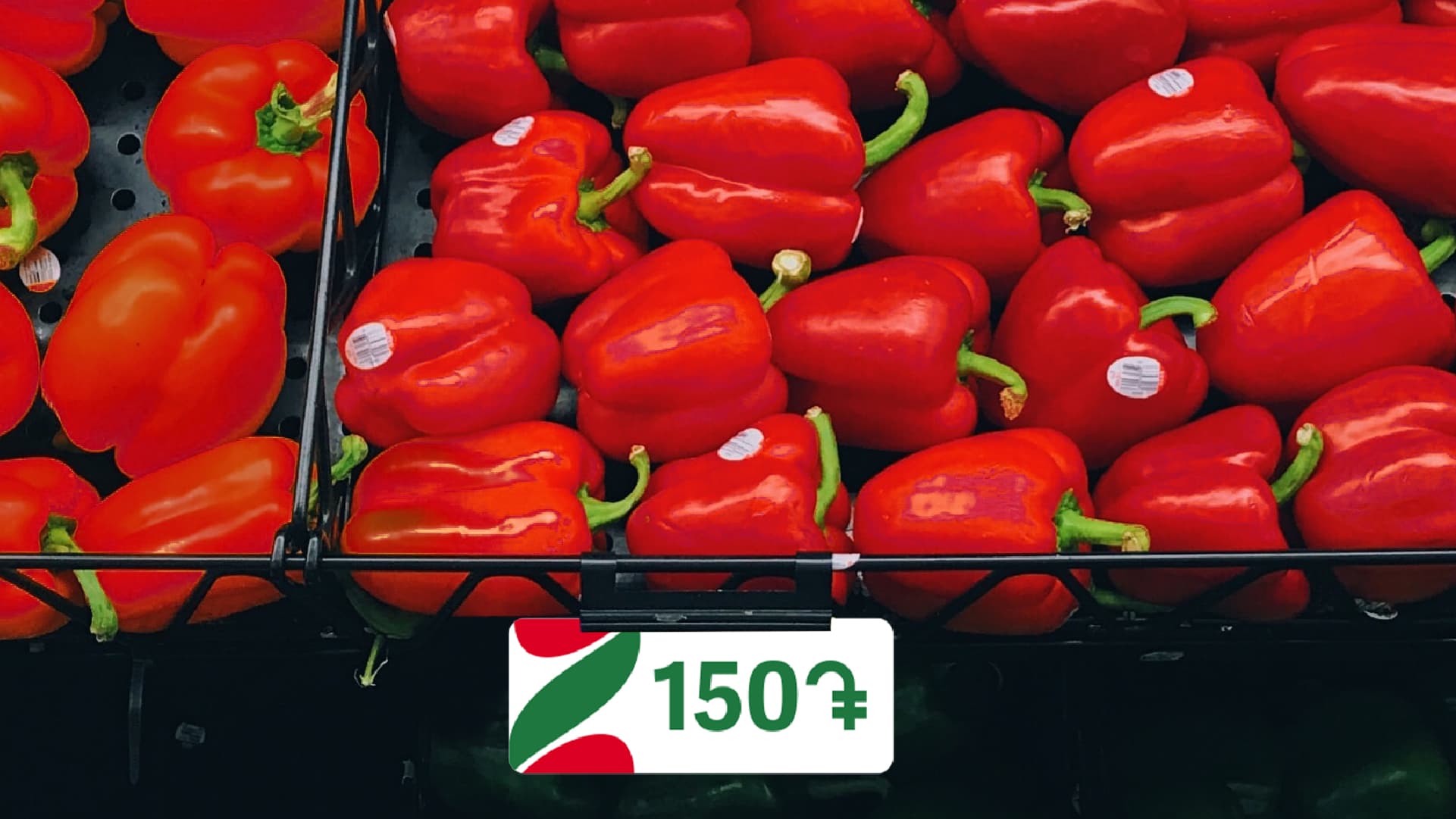 Zovq Supermarket Chain, image 18